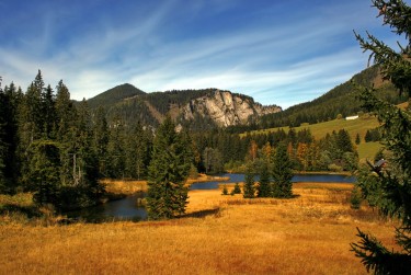 中山沙溪民间私贷攻略：揭秘低成本借贷的秘密