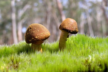 中山沙溪私人老板放款：轻松融资的秘密通道